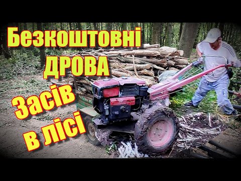 Видео: ЖЕСТЬ В ЛІСІ Екстремальна жорстка поїздка в ліс по дрова