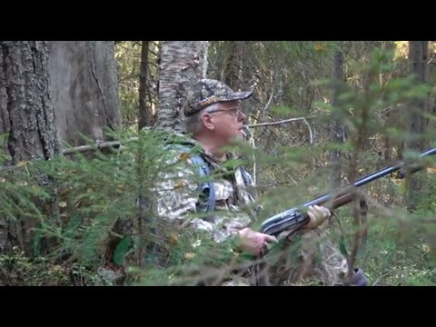 Видео: Охота на рябчика #33 Золотая осень, классика охоты