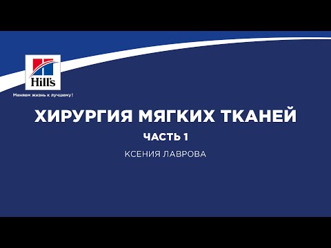 Видео: Вебинар на тему: “Хирургия мягких тканей”. Часть 1. Лектор - Ксения Лаврова.