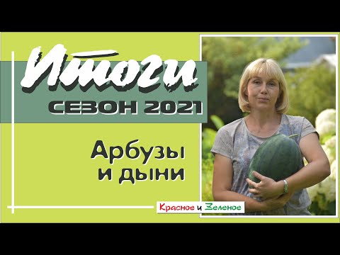 Видео: Арбузы и дыни 2021. Итоги сезона