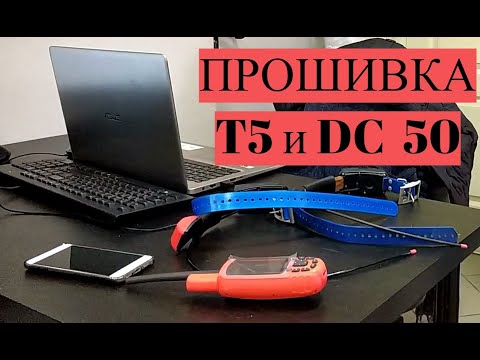 Видео: Как обновить прошивку на ошейнике Garmin T5 и  ошейник DC 50