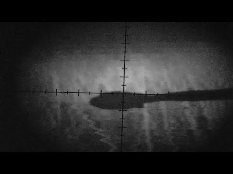 Видео: Взял крупного бобра из мелкашки