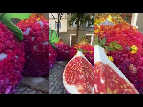 Видео: ЯЛТА ОСЕНЬЮ! АЛУПКА ВОСХИТИЛА!