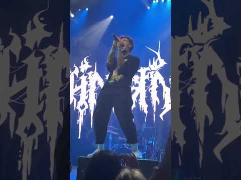 Видео: гнилаялирика - когда я засыпаю (концерт)