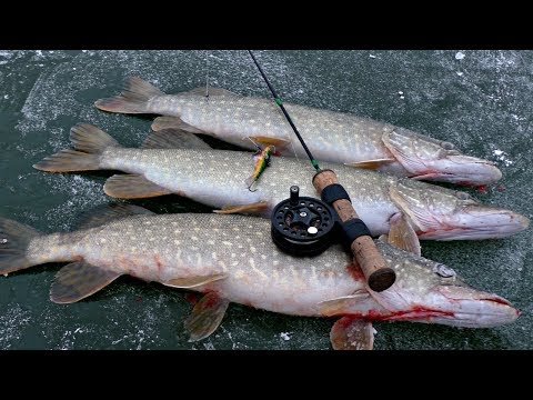 Видео: ТАКОЙ РЫБАЛКИ Я НЕ ЖДАЛ! Попали на клев щуки. Зимняя рыбалка на щуку на балансир.