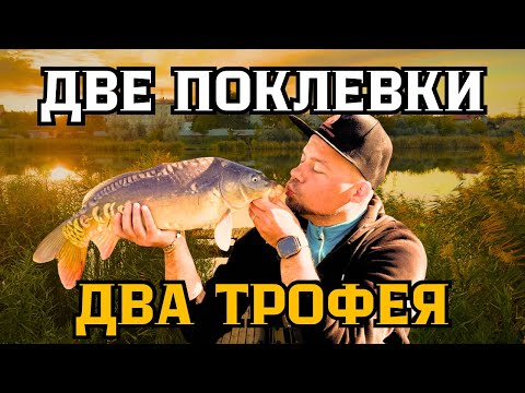 Видео:  Супер рыбалка на новом месте, с поймал два КАРПА. #корсунцы #флет #фидер #карп 
