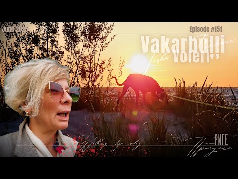 Видео: Адаптированная собака - домашняя жизнь 🐾 #tashabordeaux 