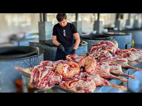 Видео: 🌙✨ КАК ОРГАНИЗОВАН ТРАДИЦИОННЫЙ АЗИАТСКИЙ ИФТАР ДЛЯ 500+ ГОСТЕЙ?