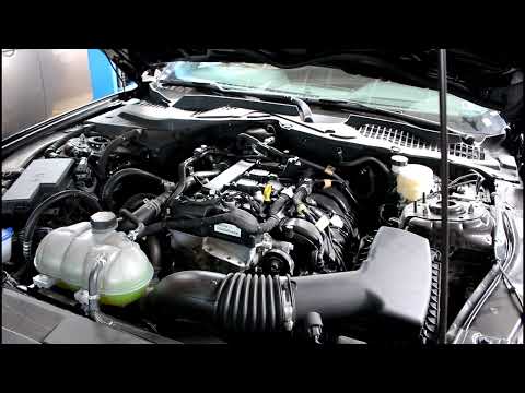 Видео: Замена масла и фильтров в двигателе на Ford Mustang 2,3 Форд Мустанг 2022 года