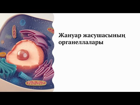 Видео: Жануарлар жасушасының органеллалары