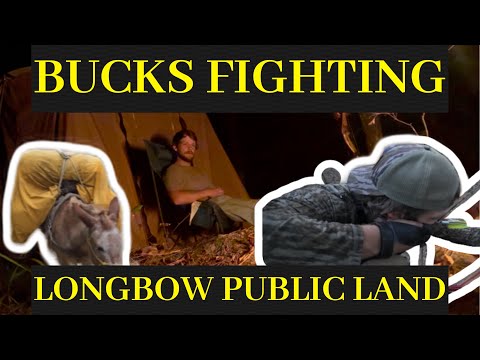 Видео: Одиночный кемпинг на мулах. Олень в 10 шагах. Традиционная стрельба из лука.