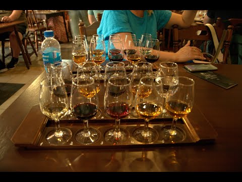 Видео: Экскурсия на винзавод "Массандра" с дегустацией 05.06.25