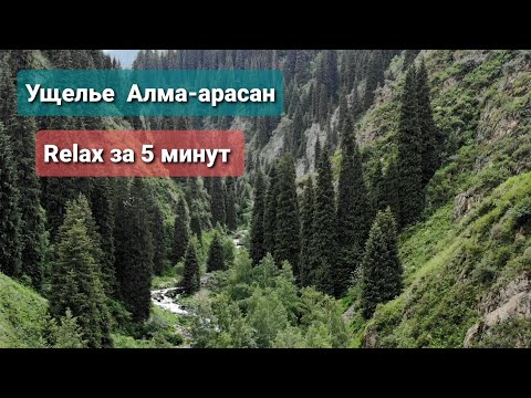 Видео: Ущелье Алма-арасан Relax за 5 минут