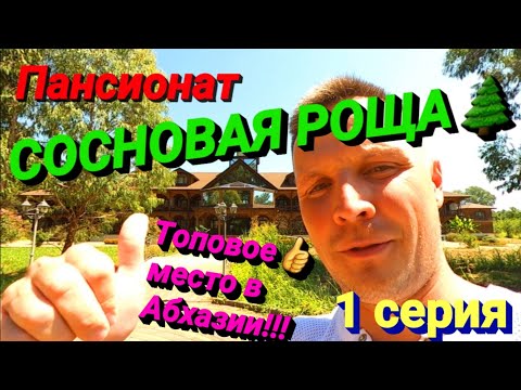 Видео: Абхазия 2020. Пицунда. Открытие границы. Обзор. Цены. Пансионат Сосновая роща.