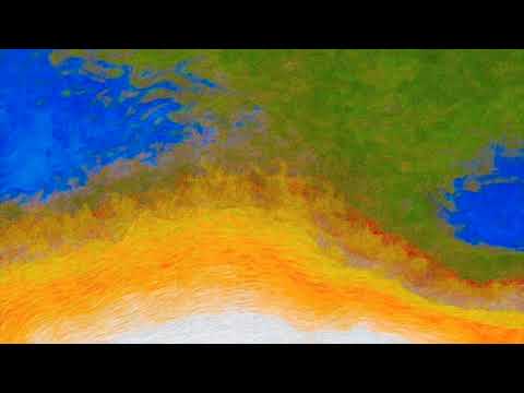 Видео: Үзэн ядалт...