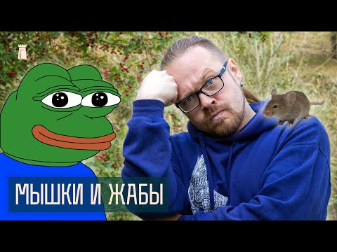 Видео: Где течет божественная река? Кто назвал реки Минска?