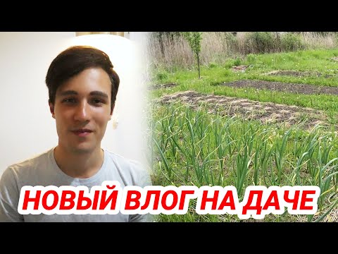 Видео: VLOG Давно не виделись. Я снова на даче