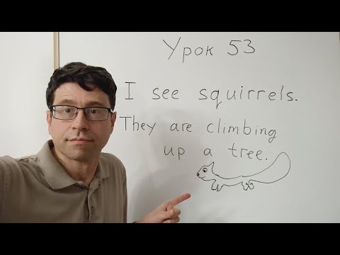 Видео: Английский язык с нуля. Урок 53. Прогулка в парке. Настоящее время. Деревья, цветы и белки.