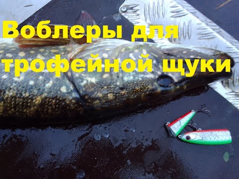 Видео: Твичинг  Воблеры для крупной щуки