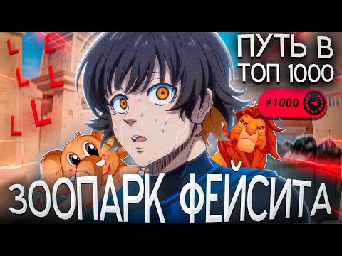 Видео: Путь в ТОП 1000 Faceit CS2 - ЗООПАРК ФЕЙСИТА