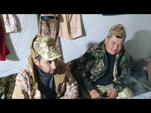 Видео: Гусиное эльдорадо. Охота на гуся в Казахстане 2021 года. goose hanting