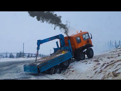 Видео: Тяжелые полноприводные грузовики TATRA, KAMAZ, MACK, MERCEDES BENZ работают на бездорожье!