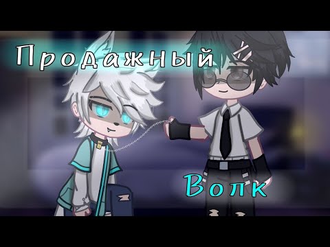 Видео: ОЗВУЧКА МИНИ ФИЛЬМА "Продажный волк" ЯОЙ // Gacha Club