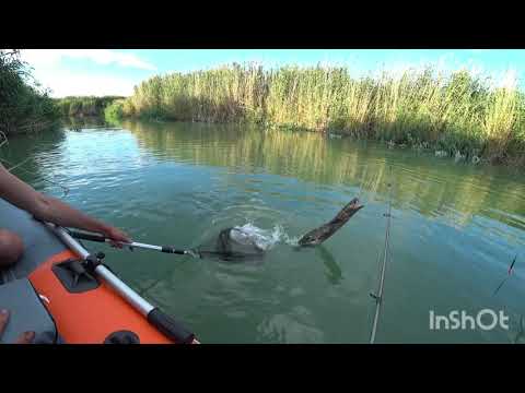 Видео: Рыбалка на реке Или. Жидели. Алматы.