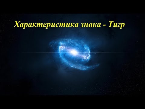 Видео: Характеристика знака - Тигр