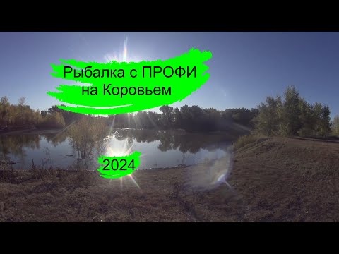 Видео: Рыбалка с профи на Коровьем