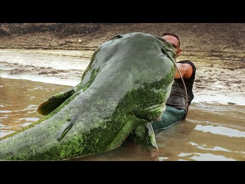 Видео: 40 НЕВЕРОЯТНЫХ МОМЕНТОВ, СНЯТЫХ НА КАМЕРУ