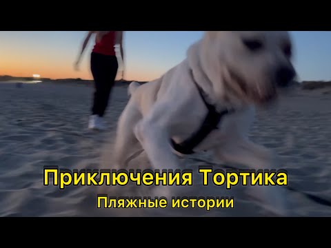 Видео: Тортик на пляже Рима