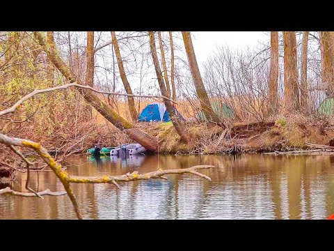 Видео: РЫБАЛКА В ЛОГОВЕ ДИКАРЕЙ! Бешеный клёв на закидушку. САЗАН, КАРАСЬ, КРАСНОПЕРКА, ГУСТЕРА ,ОКУНЬ!