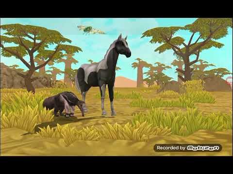 Видео: 25 жовтня 2025 р.