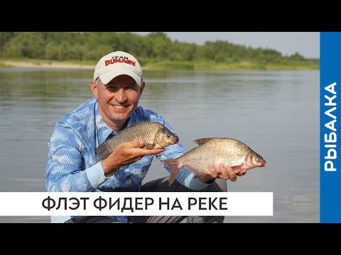 Видео: Флэт фидер на реке Дон