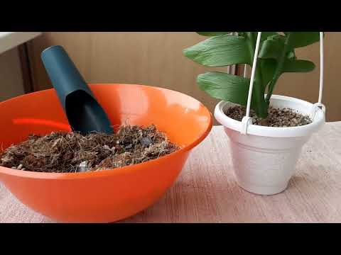 Видео: САЛАТ ДЛЯ МАРНИЕРЫ. 30.12.2022.