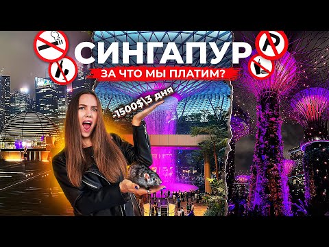 Видео: СИНГАПУР: цены, жильё, транспорт, что посмотреть?