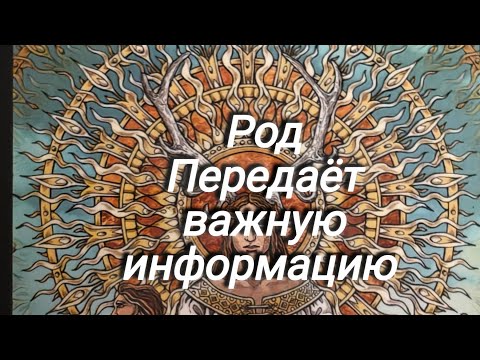 Видео: 🌳Род передаёт важную информацию...