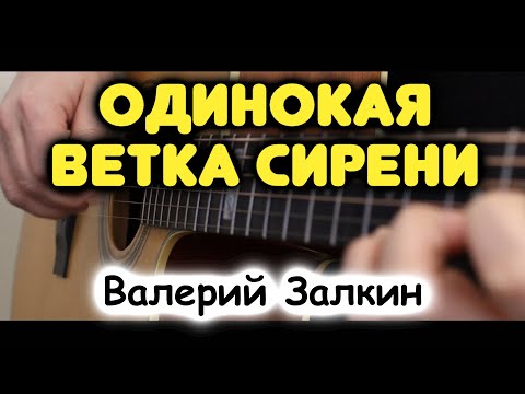 Видео: Валерий Залкин — ОДИНОКАЯ ВЕТКА СИРЕНИ на гитаре / Табы и ноты