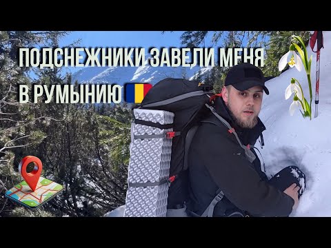 Видео: ПЕРЕШЕЛ ГРАНИЦУ В ПОИСКАХ ПОДСНЕЖНИКОВ