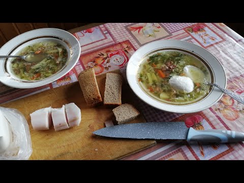 Видео: Покупки Пятёрочка, змеи на даче, Приготовление обеда