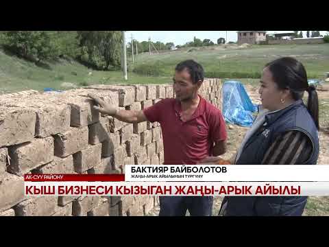 Видео: Кыш бизнеси кызыган Жаңы-Арык айылы