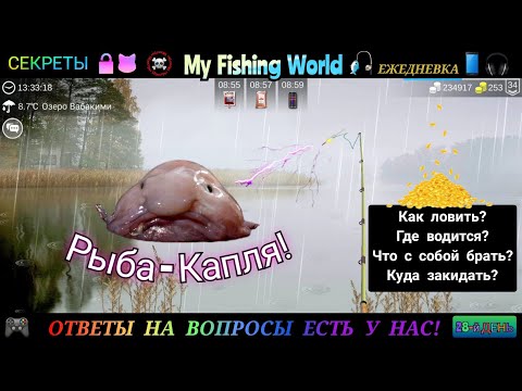 Видео: My Fishing World - Рыба капля секреты как поймать | Часть - 28