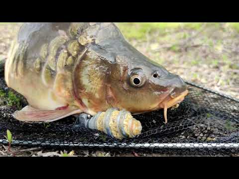 Видео: ЭТА СНАСТЬ ВЫЛОВИТ ВСЮ РЫБУ в -- 2021 !!!