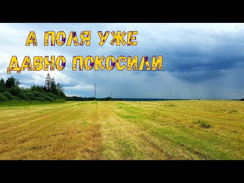 Видео: Идеальное поле для копа. Поиск монет с Гаррет Ат Про