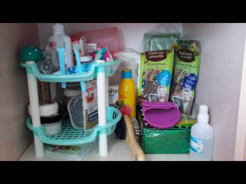 Видео: Хранение вещей моих собак))🐶