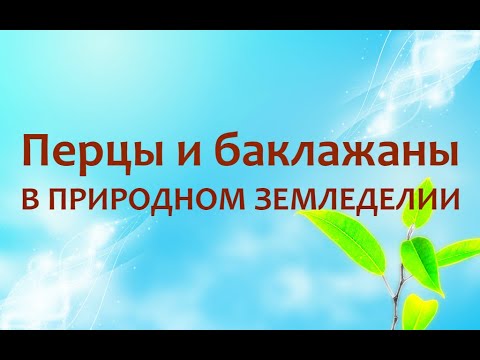 Видео: Природное земледелие - перцы и баклажаны