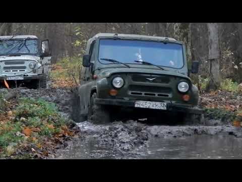 Видео: safari и nortec в лесу