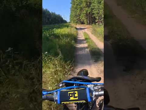 Видео: Эндуро это легко? #enduro #эндуро #moto #лес  #regulmoto #short #shorts