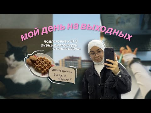 Видео: Один день из моей жизни | учёба в ЕГЭLAND | готовка вафель и многое другое 💛💫